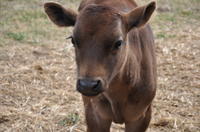 Bend Farm and Ranch Tour