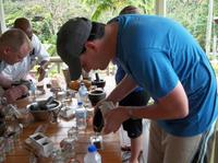 Hotel Chocolat Boucan-tour op Saint Lucia met een bezoek aan zwavelbronnen en snorkelen bij Petit Piton Hotel Chocolat Boucan-tour op Saint Lucia met een bezoek aan zwavelbronnen en snorkelen bij Petit Piton
