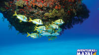 Snorkel Xtreme Cancun
