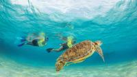 Snorkel Xtreme de Riviera Maya