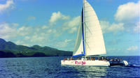 Soufriere Full-Day Land and Sea Combo Tour