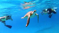 St Thomas Catamaran Sail: Buck Island National Wildlife Refuge