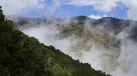 Cloud Forest Hike at Juan Castro Blanco National Park