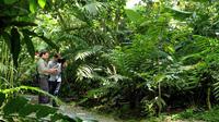 Nature Walk at Ecogolical Park and Butterfly Garden Danaus