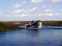 Private Small-Group Everglades Airboat Tour from Miami