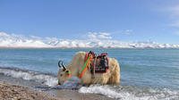 2-Day Small-Group Lake Namtso Experience from Lhasa 