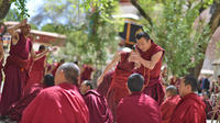 Day Tour: Tibet Drepung and Sera Monasteries