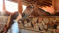 Aruba Natural Pool Horseback Riding Tour