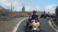 Aruba Shore Excursion: ATV Island Sightseeing Adventure