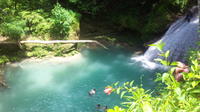 Day Trip to Blue Hole and Dunn's River Falls from Falmouth