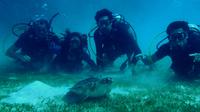 Certified Guided Reef Dive in St Thomas