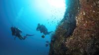 Discover Scuba Diving Experience for Beginners 