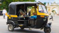 Local Tuk -Tuk Tour of Kochi - Private Tour