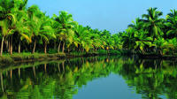 Nautica Kochi Shore Excursion: Alleppey Backwater Houseboat Tour