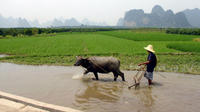 Guilin Private Tour: 2-Day Li River Cruise and Longji Terrace Fields