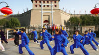 Xi'an Private Day Tour: City Wall, Great Mosque, Shaanxi History Museum and Big Wild Goose Pagoda