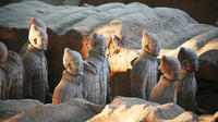 Xi'an Private Day Tour: Terracotta Warriors and City Wall