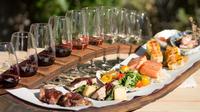 Wine and Food Sampler Tour from Queenstown