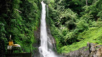 Private Tour: Natural Bali and Temples Tour