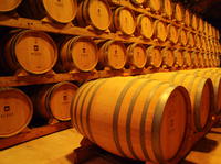 Excursion en bord de mer à Palma de Majorque: visite d un domaine viticole et dégustation de vins