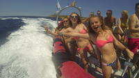 Speed Boat Trip and Snorkel Cave Tour in Ibiza