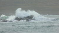 Ring of Beara Day Tour from Killarney