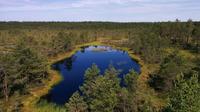 Lahemaa National Park Full Day Tour from Tallinn