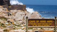 Cape Peninsula Private Day Tour