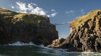 Express Tour: Giant's Causeway and Carrick-a-Rede Rope Bridge from Dublin image 1 Express Tour: Giant's Causeway and Carrick-a-Rede Rope Bridge from Dublin image 1