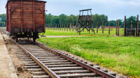 Auschwitz-Birkenau Museum Half-Day Bus Tour from Krakow