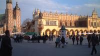 Krakow Sightseeing Tour by Minibus