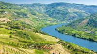 Journée-Tour en Douro avec déjeuner