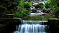 Peneda-Gerês National Park Tour