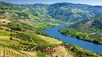 Visite d'une journée complète avec dégustation de vins dans la vallée du Douro avec déjeuner Visite d'une journée complète avec dégustation de vins dans la vallée du Douro avec déjeuner