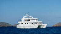 Imagen Galapagos 8-Days Seaman Journey Cruise 2019 Special Price South-North Islands