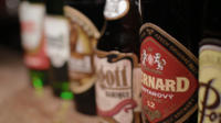 Czech Beer Tasting Paired with Cheese and Crackers in Prague