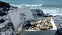 Private Oyster Tour and Tasting with Locals by Flaggy Shore