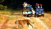 6-Night Golden Triangle Tour with Ranthambore from Delhi