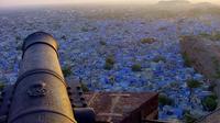 7-Day Rajasthan and Jaisalmer Tour from Delhi