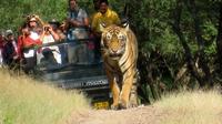 7 Days Golden Triangle with Ranthambore and Pushkar tour From Delhi