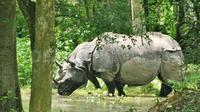 6-Day Tour of Exotic Northeast India: Mawsmai Caves, Double Decker Living Root Bridge and Kaziranga National Park
