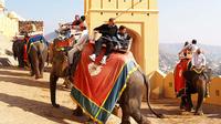 7-Day Heritage Tour of South and Central Rajasthan