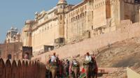 Jaipur Sightseeing Day Tour
