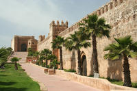 Excursión por la costa de Casablanca: Excursión privada de un día a Casablanca y Rabat Excursión por la costa de Casablanca: Excursión privada de un día a Casablanca y Rabat