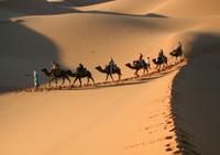 Excursion privée de 3 jours dans le désert, de Marrakech à Fès: Ouarzazate, désert du Sahara, promenade à dos de chameau et visite d'ONU berbere village