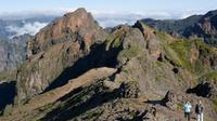 Highest Mountains of Madeira Private Tour