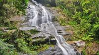 Tijuca National Park Customizable Private Tour in Rio de Janeiro