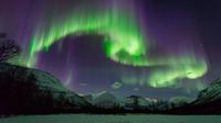 Nordlysutflukt for liten gruppe fra Tromsø Nordlysutflukt for liten gruppe fra Tromsø