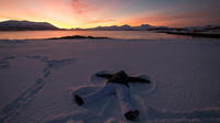 Sightseeingtour met kleine groep naar arctische landschappen vanuit Tromsø - winter Sightseeingtour met kleine groep naar arctische landschappen vanuit Tromsø - winter