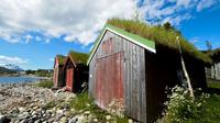 Small-group Arctic Landscapes Sightseeing Tour from Tromso - summer